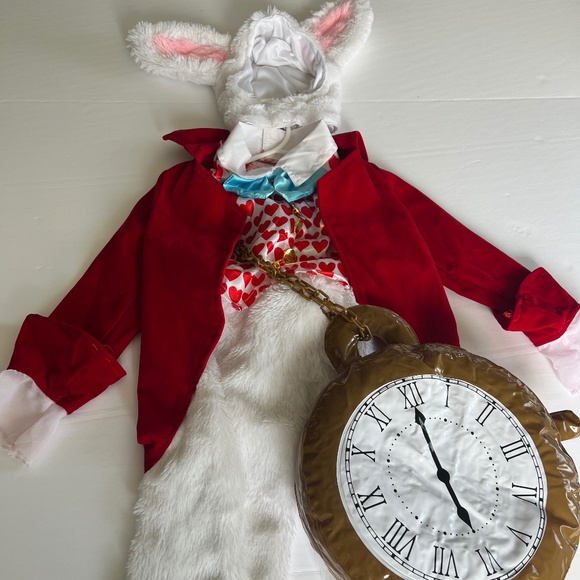 Alice in Wonderland rabbit costume 2T - Picture 1 of 7